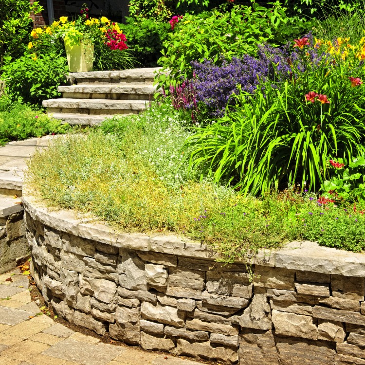 Landscape Construction in Mesa, AZ Landscape Construction in Mesa, AZ