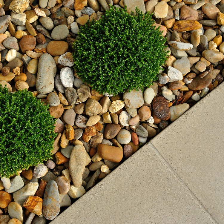 Landscape Construction in Mesa, AZ Landscape Construction in Mesa, AZ
