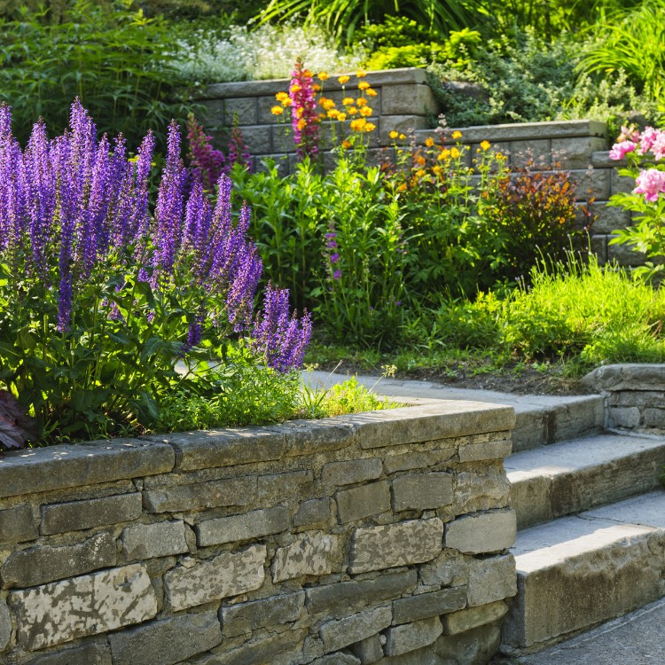 Landscape Construction in Mesa, AZ Landscape Construction in Mesa, AZ