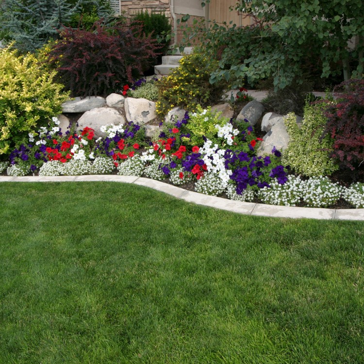 Landscape Construction in Mesa, AZ